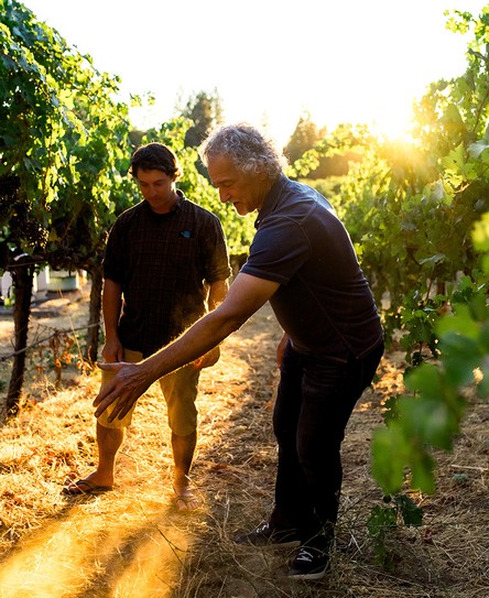 jonathan in the vineyard